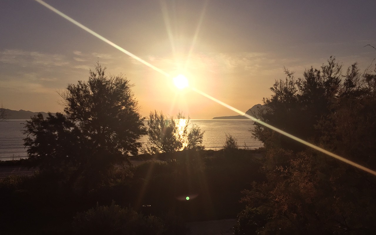 A beautiful sunset over the ocean, framed by silhouetted trees and a distant island.