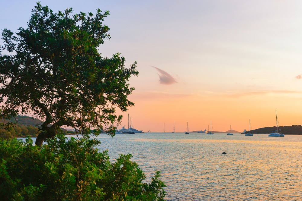 A serene sunset view over a calm bay with sailboats and lush green trees.