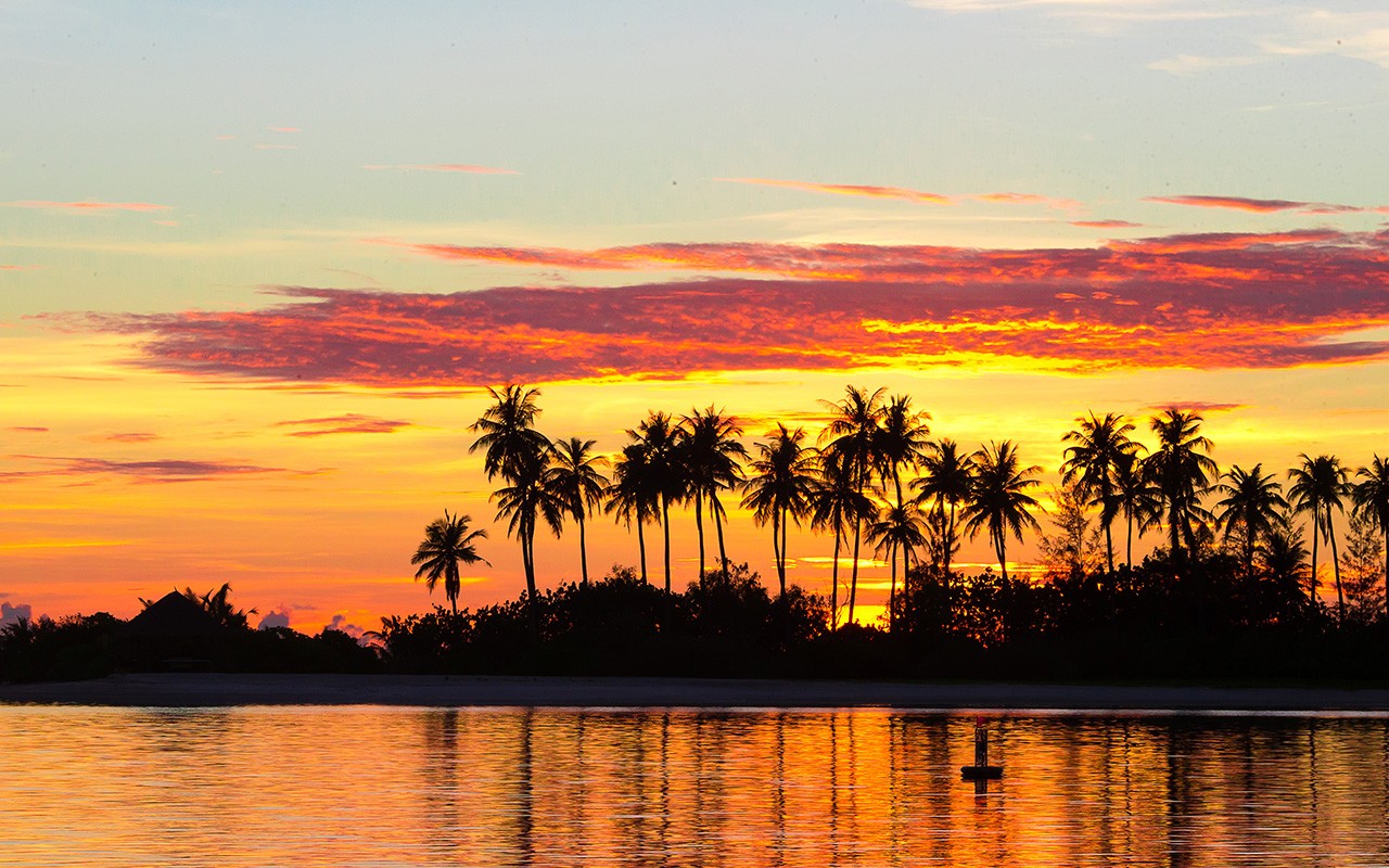 A stunning sunset with palm trees silhouetted against a vibrant, colorful sky.
